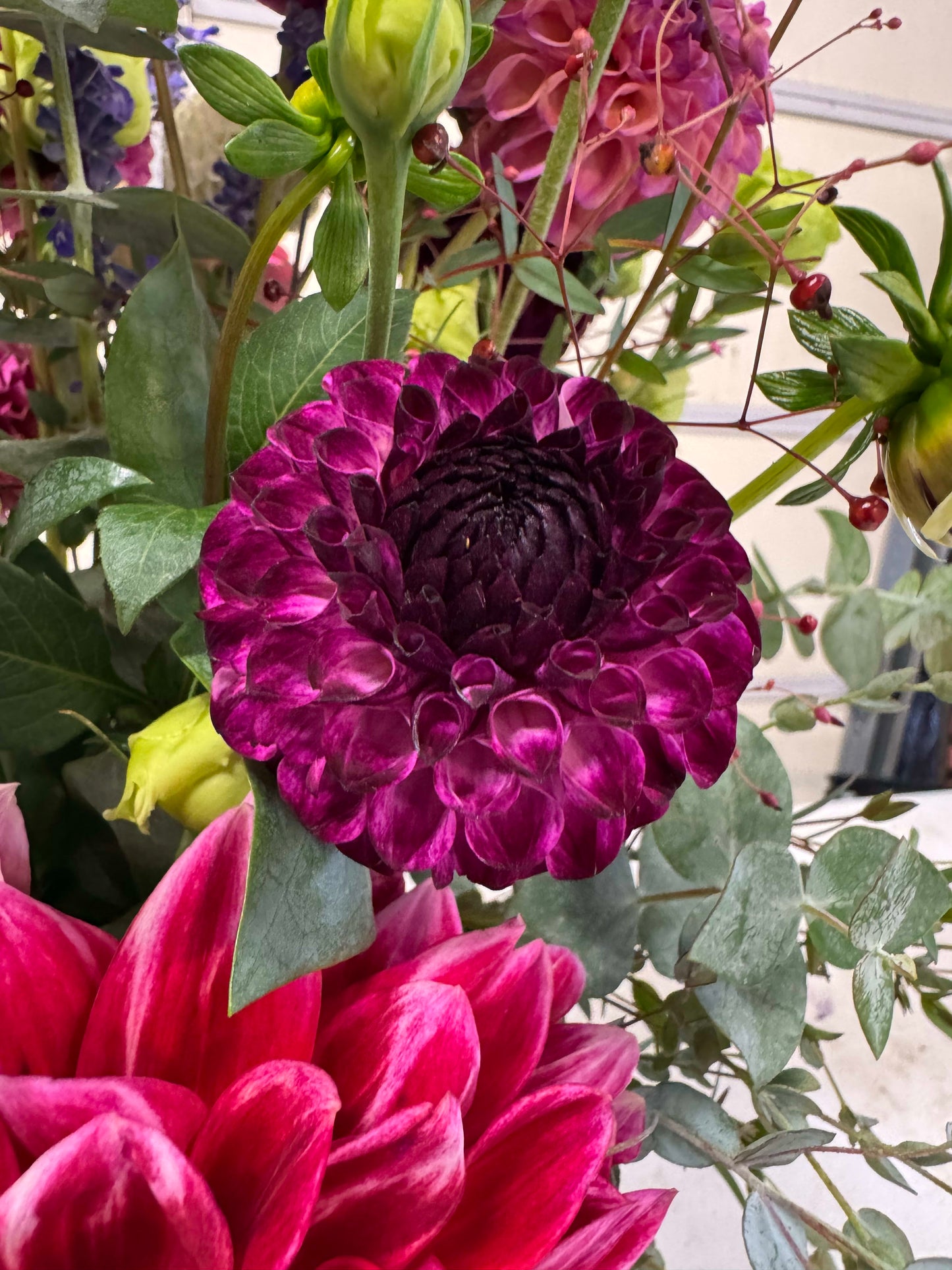 Downham Peggy - LIMIT 1