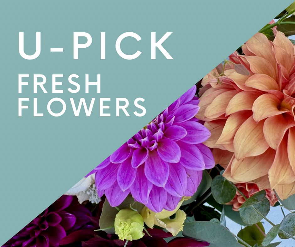 U-Pick Reservation WEDNESDAY- One Cup